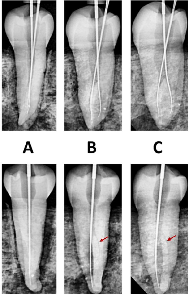 https://cdn.ncbi.nlm.nih.gov/pmc/blobs/9231/12312976/7caf96836da8/pone.0329439.g001.jpg