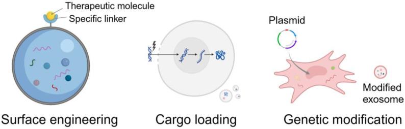 https://cdn.ncbi.nlm.nih.gov/pmc/blobs/9232/11858990/0ff24425d415/pharmaceutics-17-00147-g001.jpg