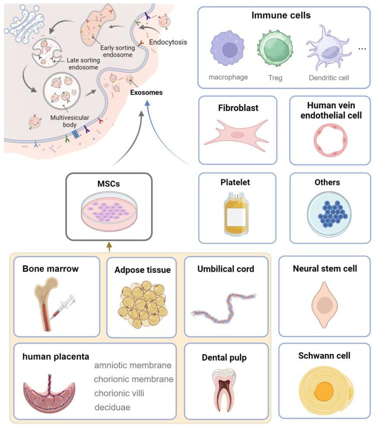 https://cdn.ncbi.nlm.nih.gov/pmc/blobs/9232/11858990/85efded8761c/pharmaceutics-17-00147-g003.jpg
