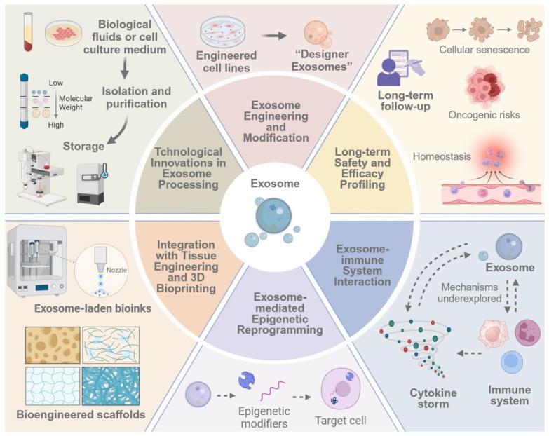 https://cdn.ncbi.nlm.nih.gov/pmc/blobs/9232/11858990/cd6ebabbc728/pharmaceutics-17-00147-g005.jpg