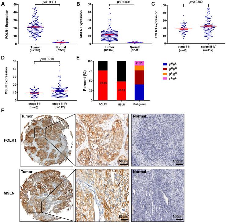 https://cdn.ncbi.nlm.nih.gov/pmc/blobs/9232/8579462/4f4fc1518947/ijbsv17p4365g002.jpg