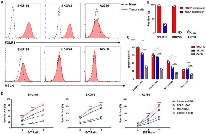 https://cdn.ncbi.nlm.nih.gov/pmc/blobs/9232/8579462/c6b99c6756a4/ijbsv17p4365g004.jpg