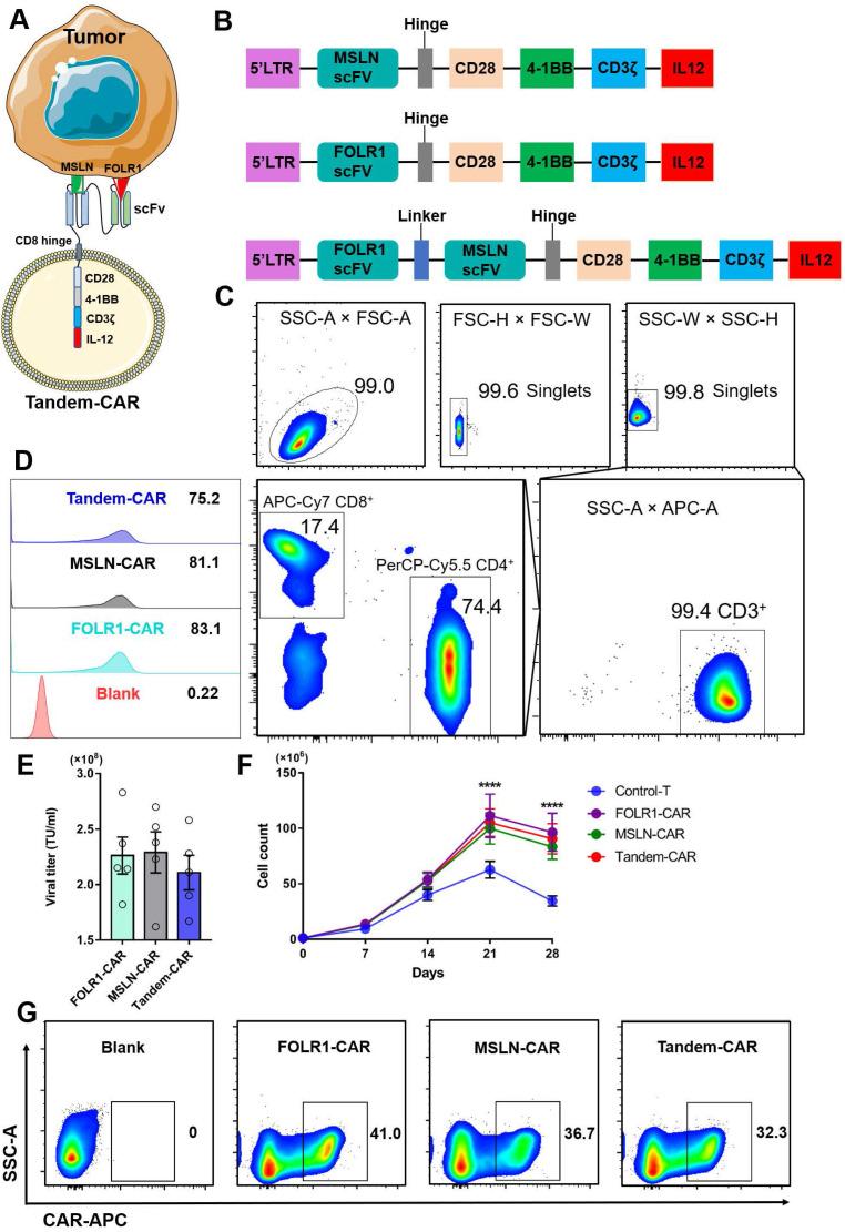 https://cdn.ncbi.nlm.nih.gov/pmc/blobs/9232/8579462/d40162a0efeb/ijbsv17p4365g003.jpg