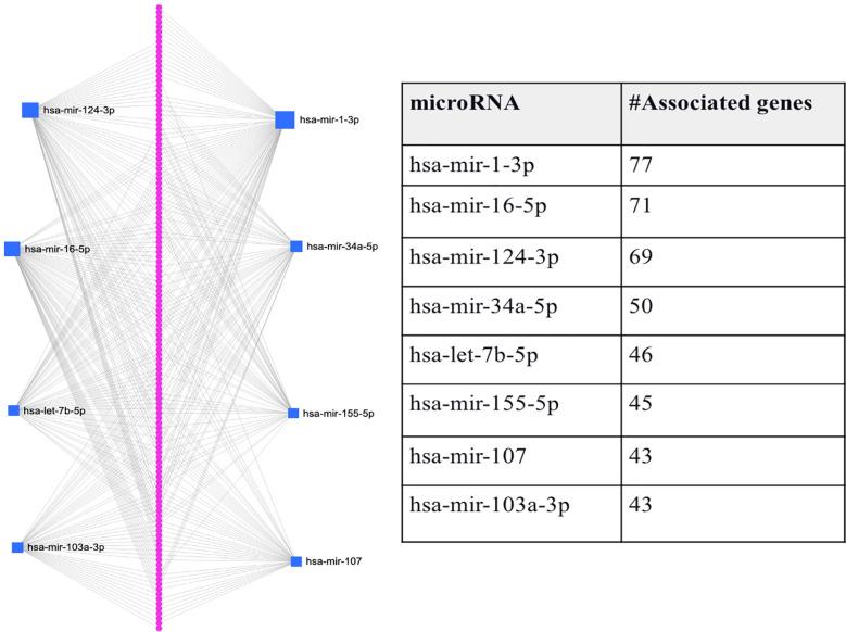 https://cdn.ncbi.nlm.nih.gov/pmc/blobs/9232/9893111/449139e6b6c9/fendo-13-1084656-g003.jpg