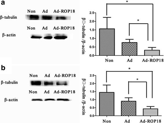 https://cdn.ncbi.nlm.nih.gov/pmc/blobs/9233/5701453/3f22109929cd/13071_2017_2529_Fig3_HTML.jpg
