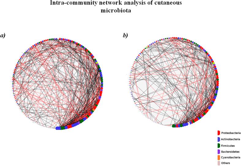 https://cdn.ncbi.nlm.nih.gov/pmc/blobs/9234/4725359/7e42b76c28b4/srep18761-f4.jpg