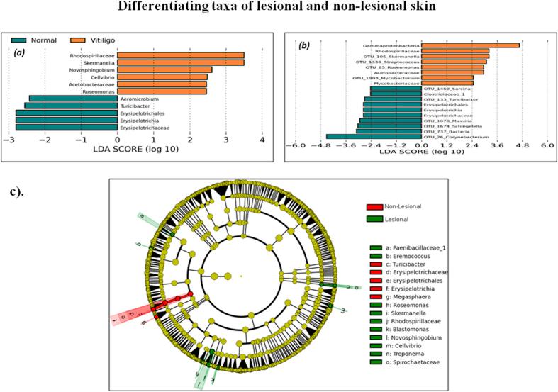 https://cdn.ncbi.nlm.nih.gov/pmc/blobs/9234/4725359/d85152a18f70/srep18761-f3.jpg