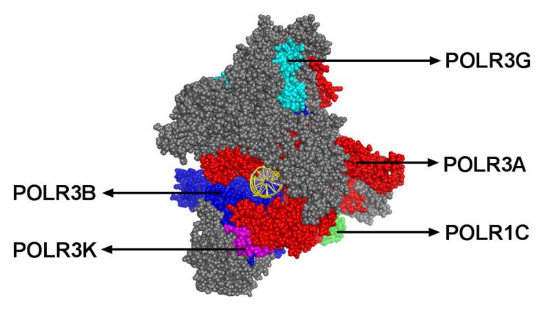 https://cdn.ncbi.nlm.nih.gov/pmc/blobs/9235/7894263/2c85a533109f/facrev-10-12-g001.jpg