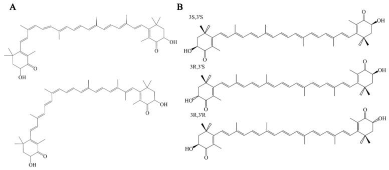 https://cdn.ncbi.nlm.nih.gov/pmc/blobs/9239/12192321/6b6e62827836/foods-14-02103-g001.jpg