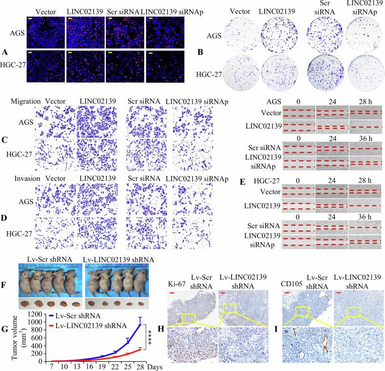 https://cdn.ncbi.nlm.nih.gov/pmc/blobs/923b/11557945/833d0b270863/42003_2024_7202_Fig2_HTML.jpg