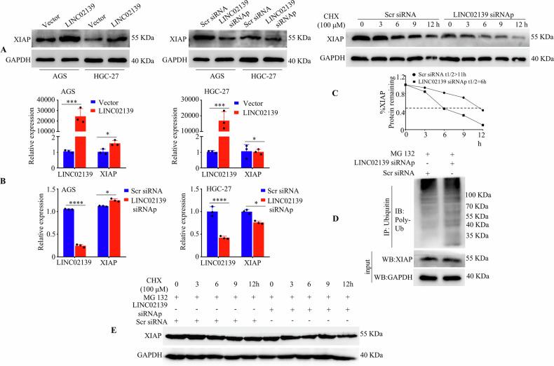 https://cdn.ncbi.nlm.nih.gov/pmc/blobs/923b/11557945/9297f0ad988b/42003_2024_7202_Fig4_HTML.jpg