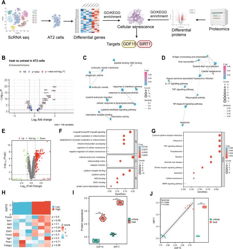 https://cdn.ncbi.nlm.nih.gov/pmc/blobs/923b/12060536/0db53705b70d/12951_2025_3382_Fig5_HTML.jpg