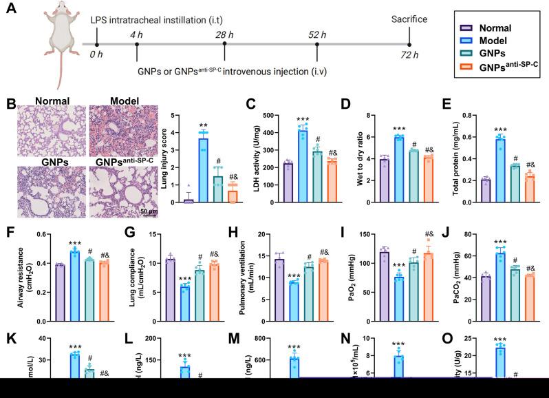 https://cdn.ncbi.nlm.nih.gov/pmc/blobs/923b/12060536/70b767c07a1f/12951_2025_3382_Fig3_HTML.jpg