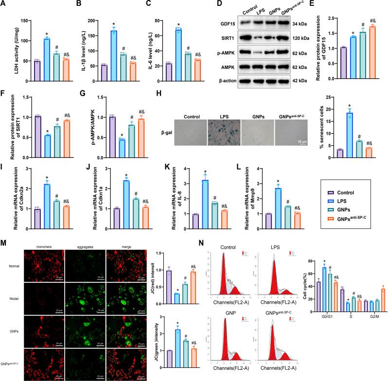 https://cdn.ncbi.nlm.nih.gov/pmc/blobs/923b/12060536/71379e05fcb4/12951_2025_3382_Fig7_HTML.jpg