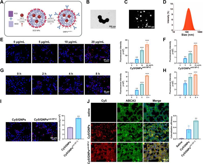 https://cdn.ncbi.nlm.nih.gov/pmc/blobs/923b/12060536/e713deeb64f8/12951_2025_3382_Fig2_HTML.jpg