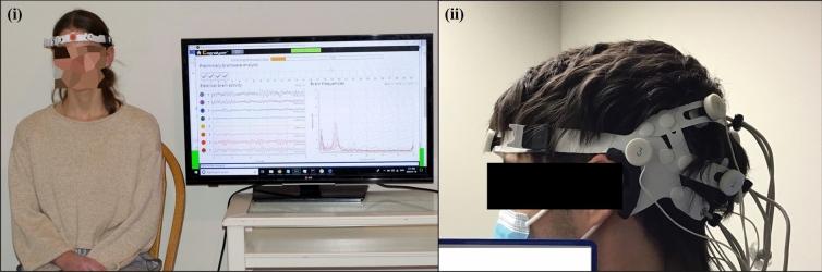 https://cdn.ncbi.nlm.nih.gov/pmc/blobs/923b/8107159/3e67028906be/12325_2021_1718_Fig1_HTML.jpg