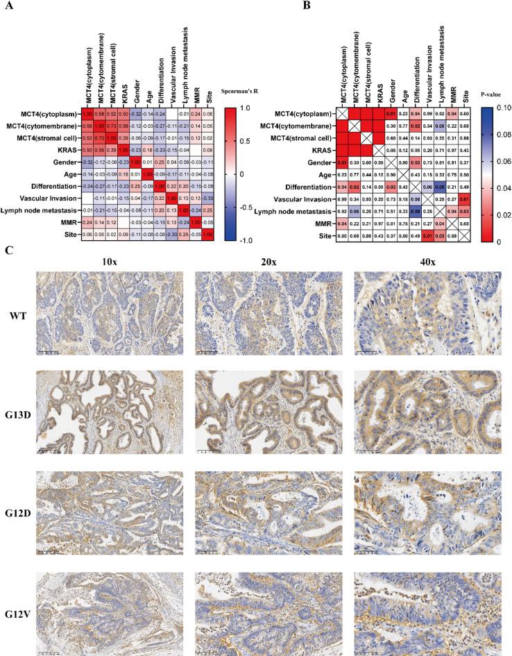 https://cdn.ncbi.nlm.nih.gov/pmc/blobs/923d/12223049/32270cbf9a1f/41598_2025_6254_Fig2_HTML.jpg