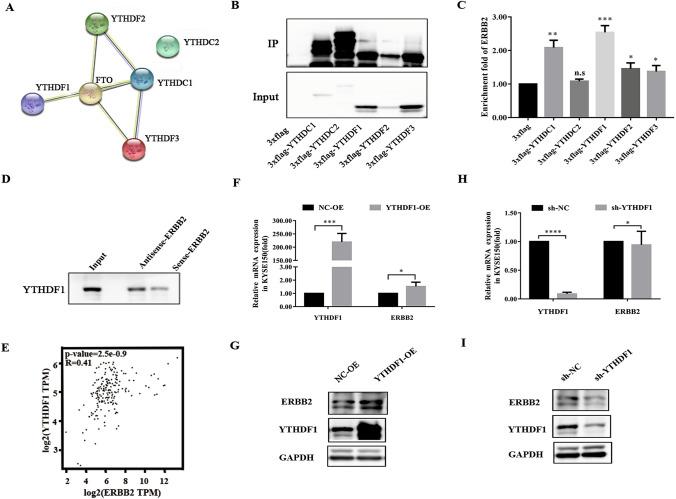 https://cdn.ncbi.nlm.nih.gov/pmc/blobs/923e/9338917/9a270b7a62cd/10585_2022_10169_Fig6_HTML.jpg
