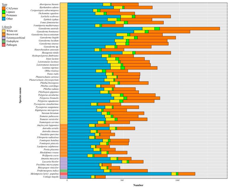 https://cdn.ncbi.nlm.nih.gov/pmc/blobs/923f/8955403/6447f39837e7/jof-08-00311-g007.jpg
