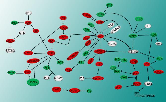 https://cdn.ncbi.nlm.nih.gov/pmc/blobs/9241/10262367/0db6f89b8874/12935_2023_2960_Fig3_HTML.jpg