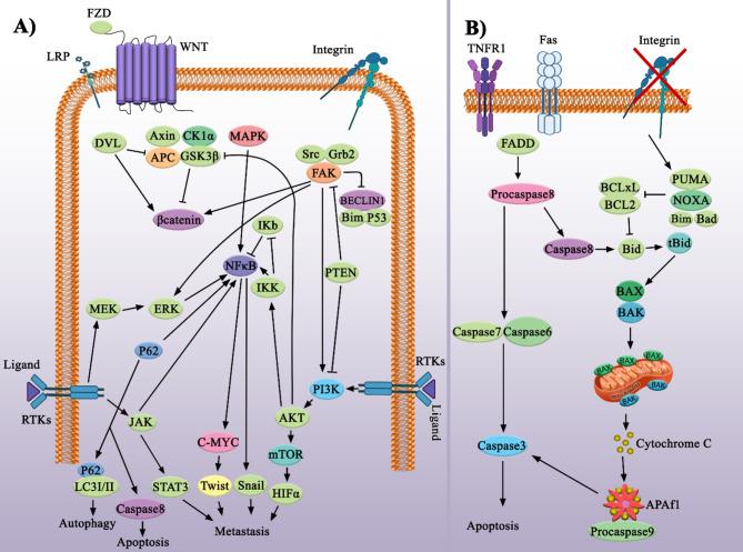 https://cdn.ncbi.nlm.nih.gov/pmc/blobs/9241/10262367/be4c731e76bf/12935_2023_2960_Fig2_HTML.jpg