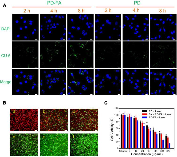 https://cdn.ncbi.nlm.nih.gov/pmc/blobs/9245/8055284/85417396b0b7/IJN-16-2879-g0005.jpg