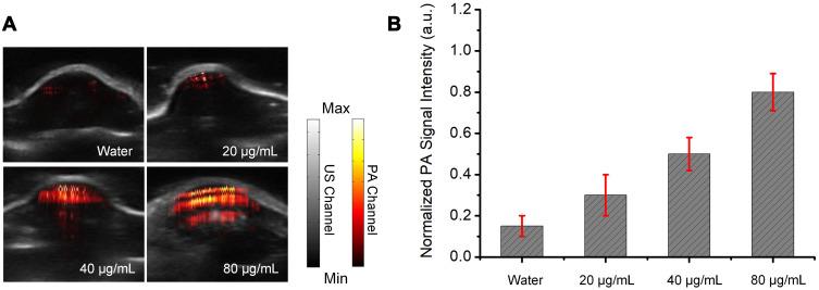 https://cdn.ncbi.nlm.nih.gov/pmc/blobs/9245/8055284/cd83153ea202/IJN-16-2879-g0006.jpg