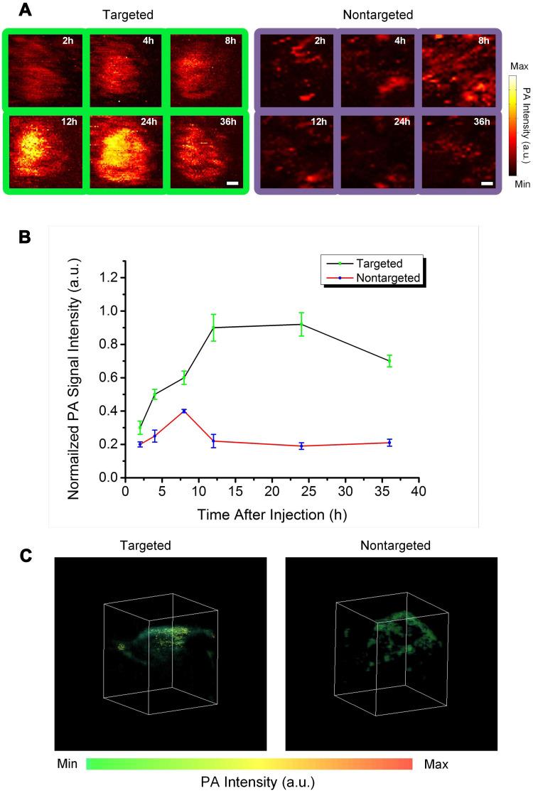 https://cdn.ncbi.nlm.nih.gov/pmc/blobs/9245/8055284/d1f26cbf3fad/IJN-16-2879-g0007.jpg