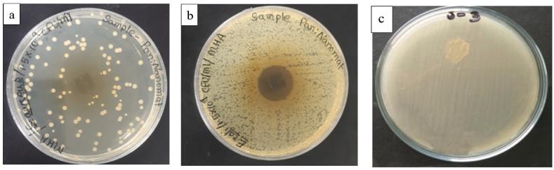 https://cdn.ncbi.nlm.nih.gov/pmc/blobs/9248/10359877/9429f9b192e9/gr6.jpg
