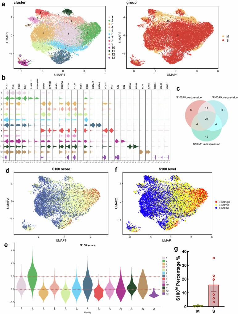 https://cdn.ncbi.nlm.nih.gov/pmc/blobs/9248/11473795/2cf59f27f9a4/42003_2024_7025_Fig2_HTML.jpg