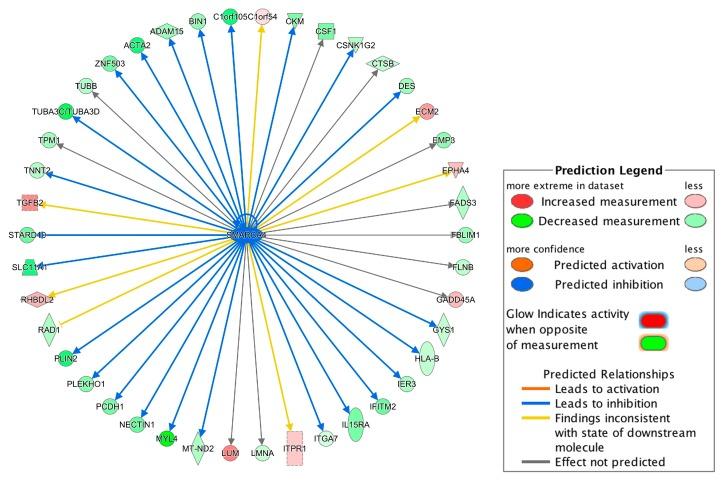 https://cdn.ncbi.nlm.nih.gov/pmc/blobs/9248/7017089/35726713402f/genes-11-00060-g004.jpg