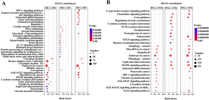 https://cdn.ncbi.nlm.nih.gov/pmc/blobs/924a/11670207/438d07ee874a/fmolb-11-1499220-g005.jpg