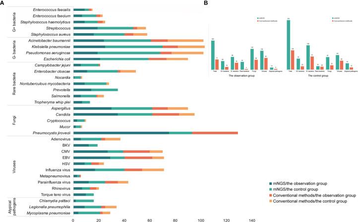 https://cdn.ncbi.nlm.nih.gov/pmc/blobs/924a/9024294/5cb8a2160ab5/fcimb-12-872813-g001.jpg