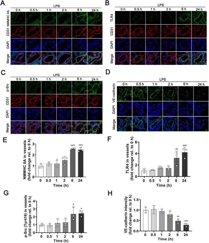https://cdn.ncbi.nlm.nih.gov/pmc/blobs/924a/9069402/0e7e17a2b36c/gr4.jpg