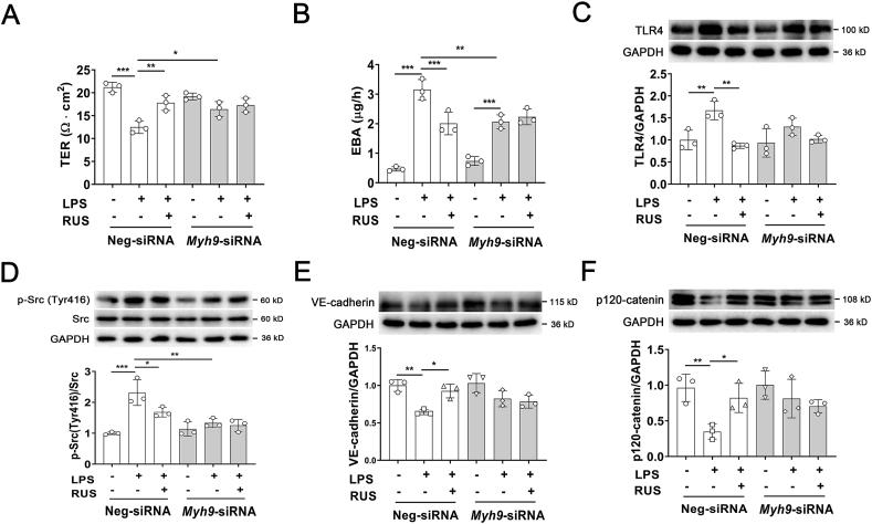 https://cdn.ncbi.nlm.nih.gov/pmc/blobs/924a/9069402/64e6df0a05ba/gr6.jpg