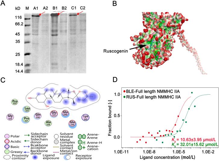 https://cdn.ncbi.nlm.nih.gov/pmc/blobs/924a/9069402/6b2e7df8d31f/gr2.jpg
