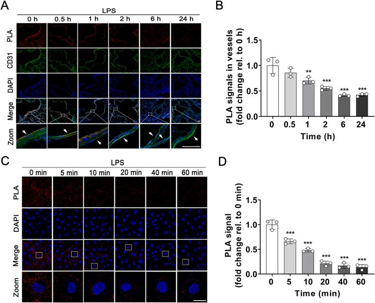 https://cdn.ncbi.nlm.nih.gov/pmc/blobs/924a/9069402/9ad5c198eaa0/gr7.jpg