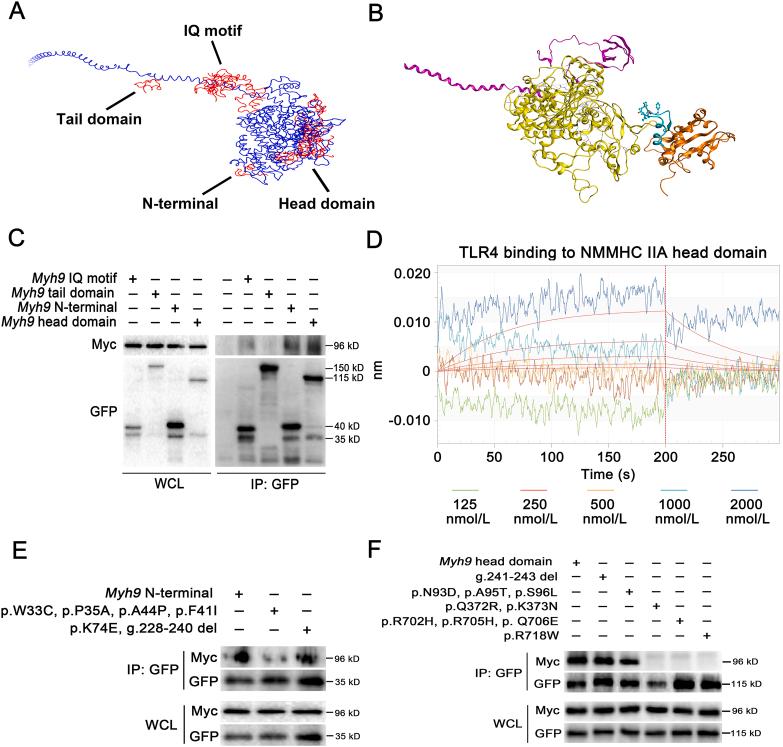 https://cdn.ncbi.nlm.nih.gov/pmc/blobs/924a/9069402/ba4a33131f63/gr8.jpg