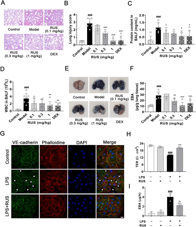 https://cdn.ncbi.nlm.nih.gov/pmc/blobs/924a/9069402/c687e48faa5c/gr1.jpg