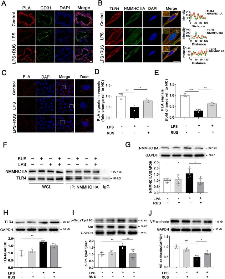 https://cdn.ncbi.nlm.nih.gov/pmc/blobs/924a/9069402/cb3a9ac3ce5c/gr9.jpg