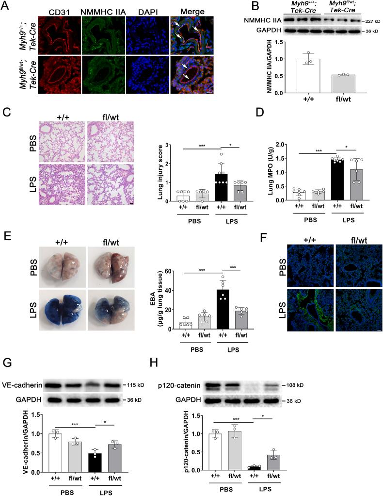 https://cdn.ncbi.nlm.nih.gov/pmc/blobs/924a/9069402/f93eb9cc459c/gr5.jpg