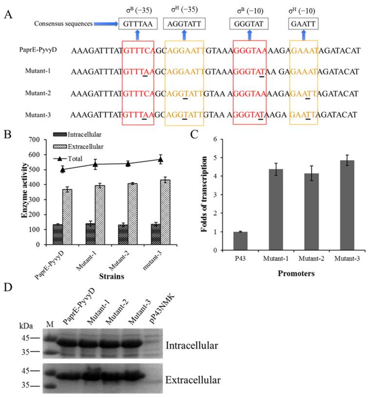 https://cdn.ncbi.nlm.nih.gov/pmc/blobs/924e/9224341/2e45008f6fd9/ijms-23-06588-g005.jpg