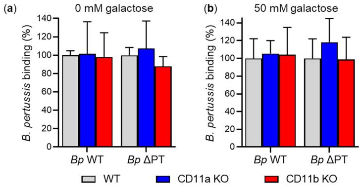 https://cdn.ncbi.nlm.nih.gov/pmc/blobs/924e/9604300/e58c95eb7a94/ijms-23-12598-g006.jpg