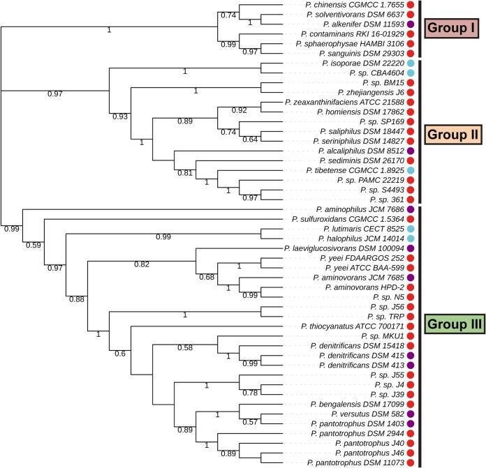 https://cdn.ncbi.nlm.nih.gov/pmc/blobs/9250/6747724/042fcc4a2e07/mBio.00805-19-f0008.jpg