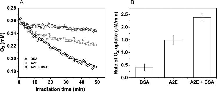https://cdn.ncbi.nlm.nih.gov/pmc/blobs/9254/7567710/0a8d749d3506/12013_2020_942_Fig2_HTML.jpg