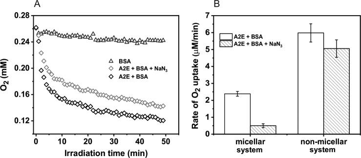 https://cdn.ncbi.nlm.nih.gov/pmc/blobs/9254/7567710/1330a983b5ba/12013_2020_942_Fig4_HTML.jpg