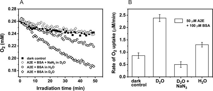 https://cdn.ncbi.nlm.nih.gov/pmc/blobs/9254/7567710/bebe0c8a027c/12013_2020_942_Fig3_HTML.jpg