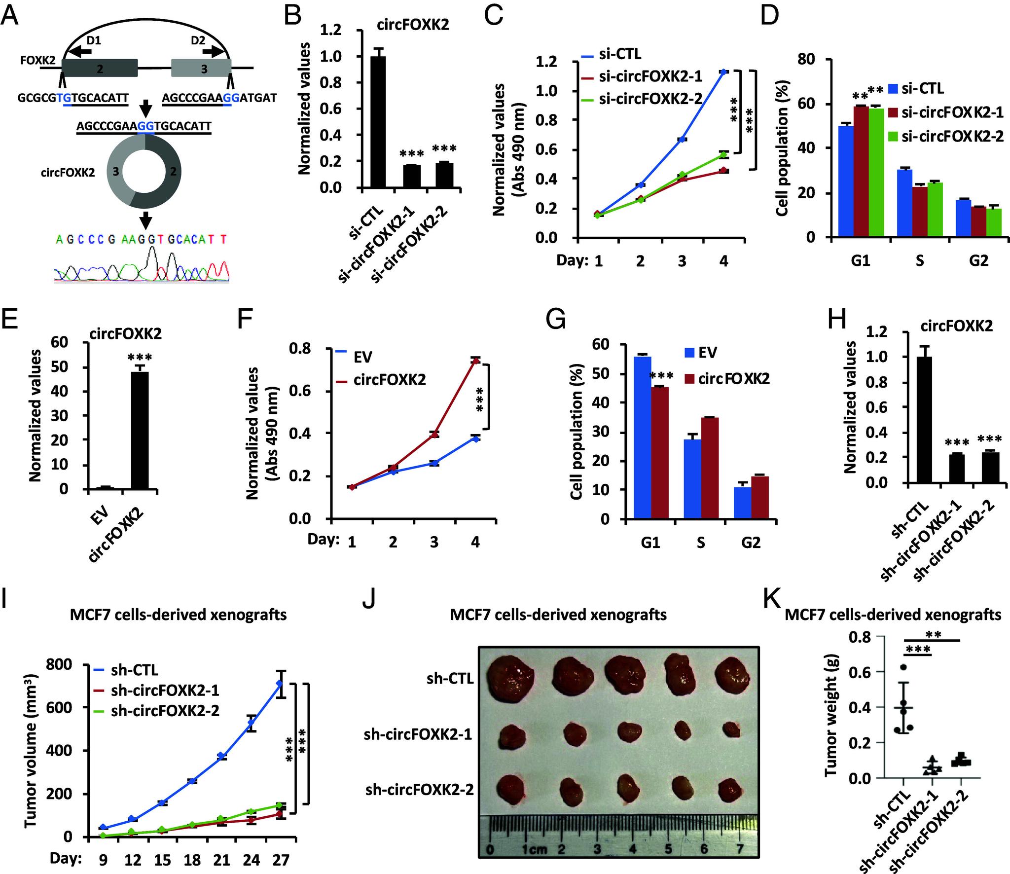 https://cdn.ncbi.nlm.nih.gov/pmc/blobs/9255/11874584/2d1c8796b2f4/pnas.2420383122fig01.jpg
