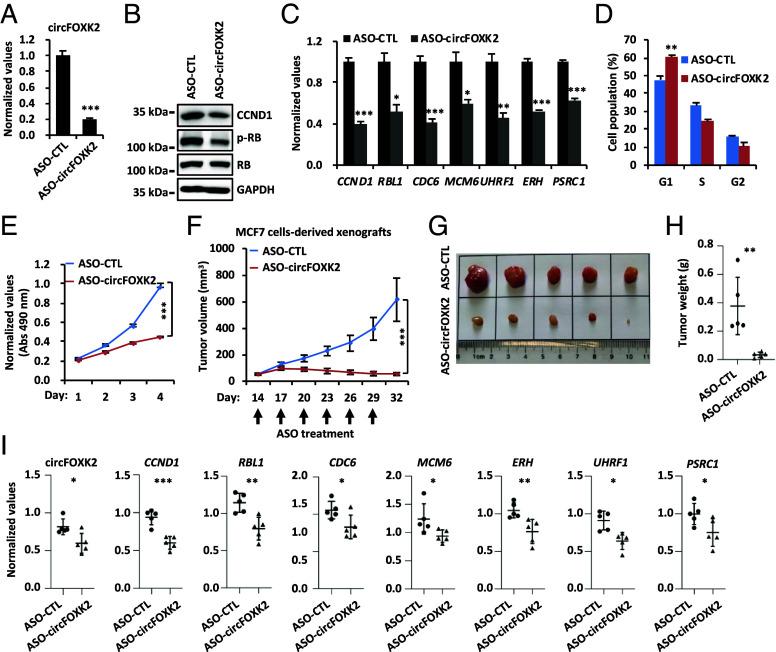 https://cdn.ncbi.nlm.nih.gov/pmc/blobs/9255/11874584/4af295455221/pnas.2420383122fig04.jpg