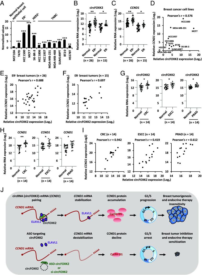 https://cdn.ncbi.nlm.nih.gov/pmc/blobs/9255/11874584/cec7103aa1df/pnas.2420383122fig07.jpg
